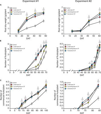 Enhanced Yield of Pepper Plants Promoted by Soil Application of Volatiles From Cell-Free Fungal Culture Filtrates Is Associated With Activation of the Beneficial Soil Microbiota